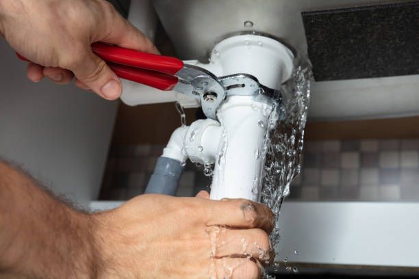 Best Professional water damage repair  in Rockford, MN