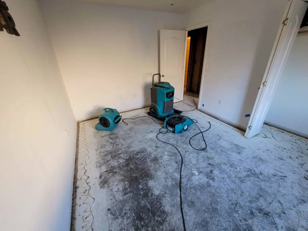 Sewage cleanup and water damage restoration in MN