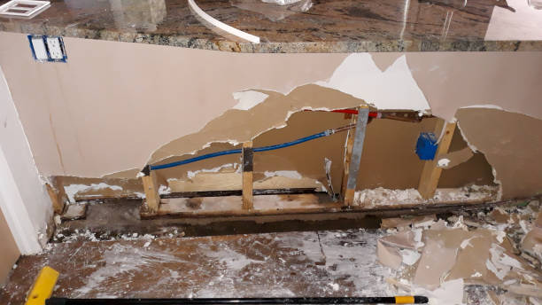 Best Water damage restoration near me  in Rockford, MN
