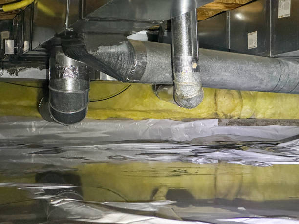 Best Mold removal after water damage  in Rockford, MN
