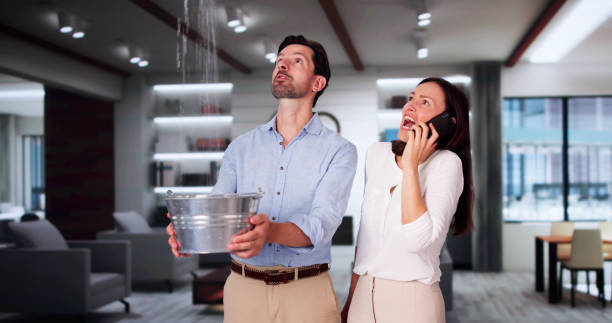 Best Professional water damage repair  in Rockford, MN