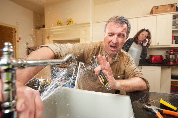 Best Flood restoration services  in Rockford, MN